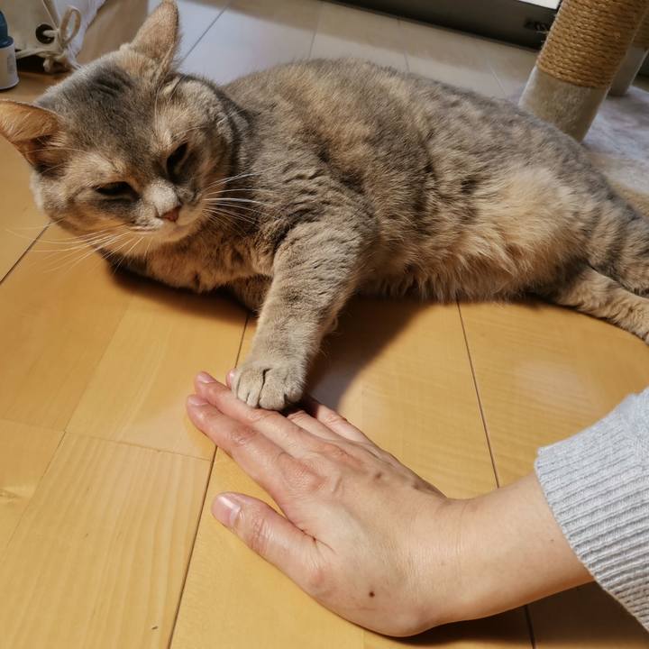 3a9bd474 cb56 4170 84d0 e6a5efe19a4e 1602129340125