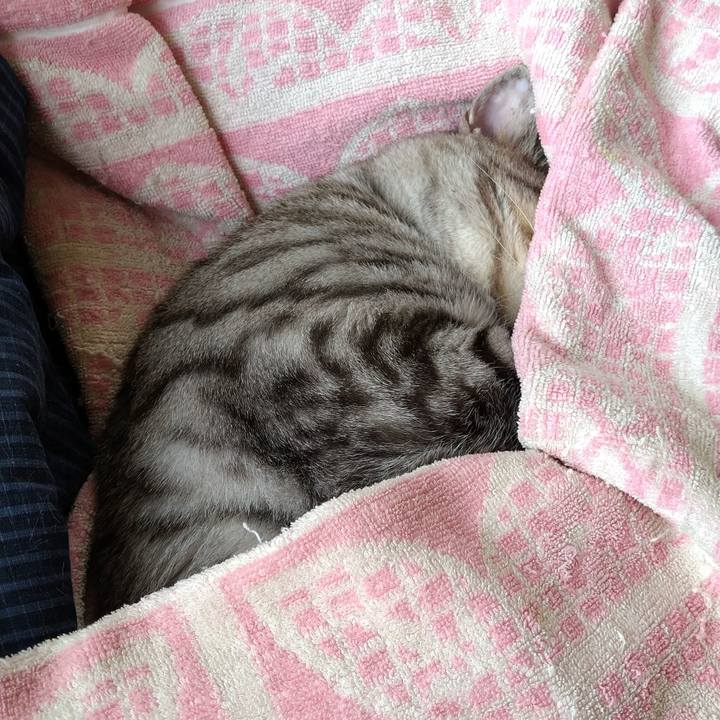 3a9c02e5 7c34 42cc 8375 9c4400eb9dbe 1645071414309