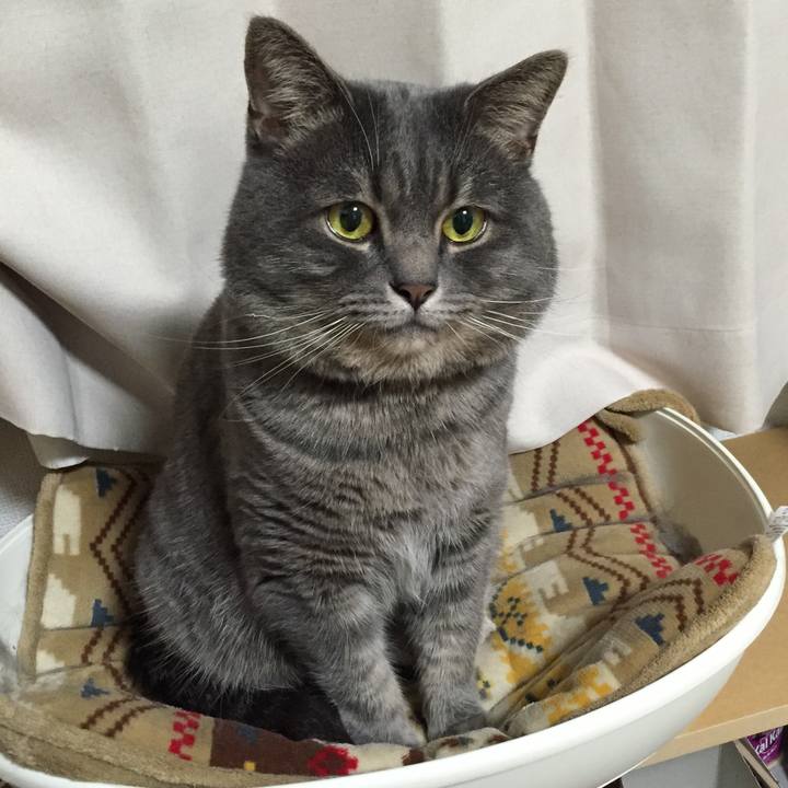 3a9c04a2 3150 4186 b3d6 35c2c7211d82 1592597906131