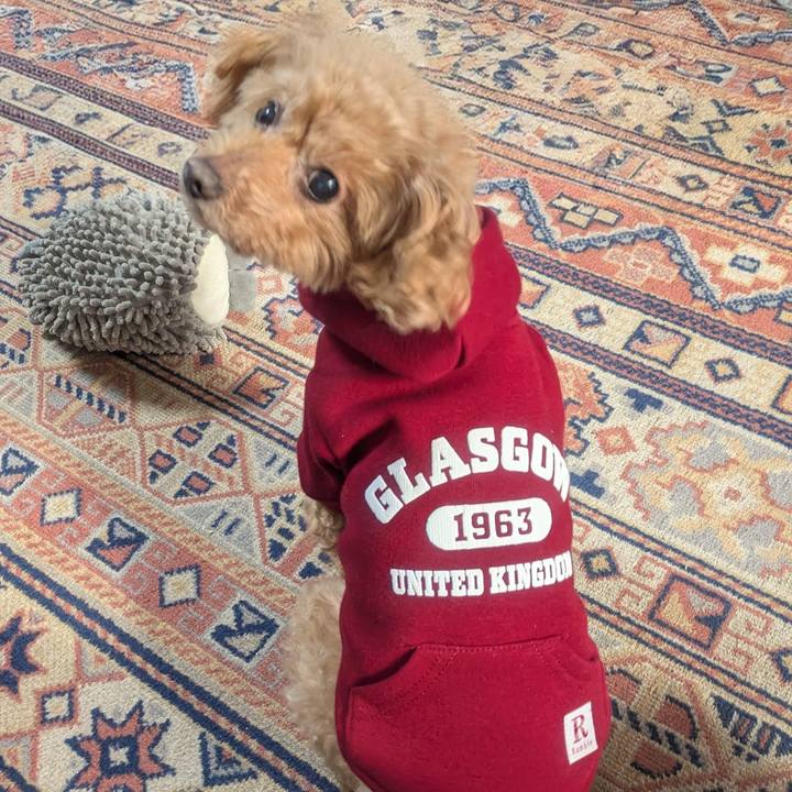 3a9c22b8 332e 44dd be15 6820cdff8857 1768261264418