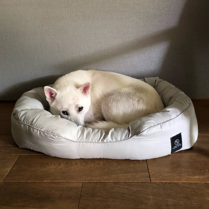 3a9c6a27 9517 472b 85bc 57f562a07266 1598182667732