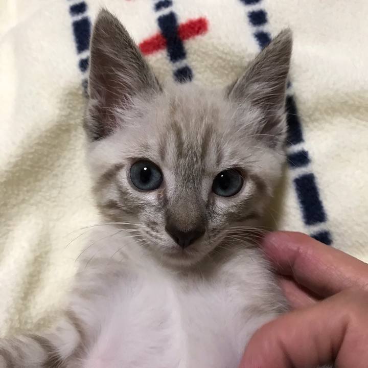 3a9c9b43 059b 44e2 bc6b 9f4916a81e03 1558426271379