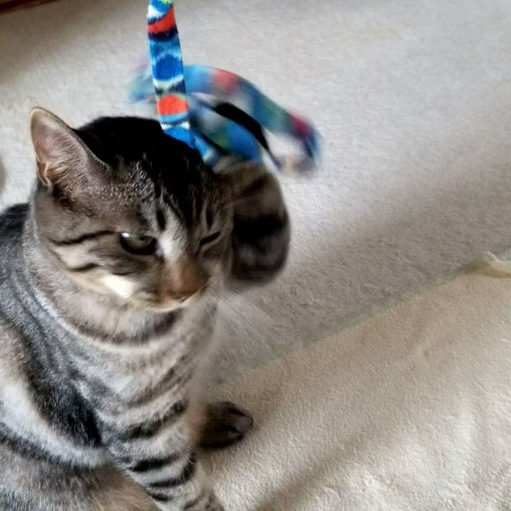 3a9cae27 8ddc 4b14 a325 afa02b94394e 1691241505186