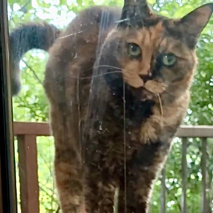 3a9cb3aa fcfd 4a71 a112 3b978fa5570e 1758881052063