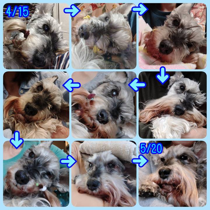 3a9cc04b 1cab 4471 b8a3 a699d40daab4 1779426035906