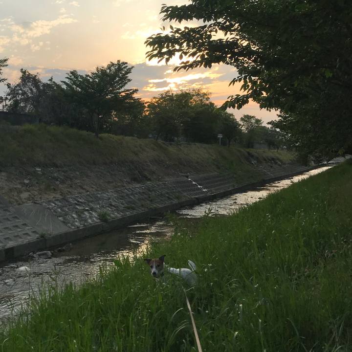 3a9ccf48 ecef 4d09 96e2 8d2698fb6350 1524826285506