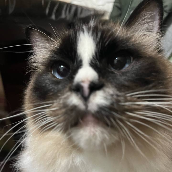 3a9ccfd0 d271 47eb 939d cdb051abe00e 1711060357457