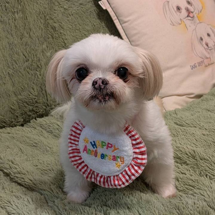 3a9ceb9c e997 4285 a420 3d1fd10971b2 1731228479754