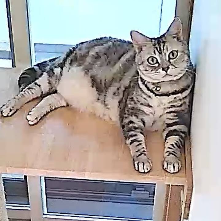 3a9d2de1 0b6e 4ad8 999d 5e4627085d0d 1762425021079