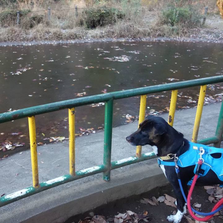 3a9d3418 a2ac 4ac7 a854 2988229ee53e 1608077148575