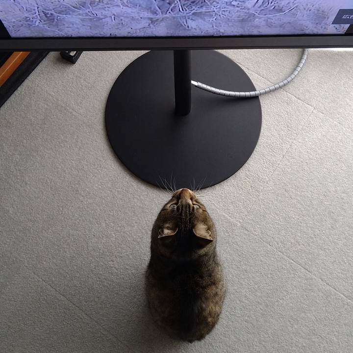 3a9d4aed 5299 430a 8520 e56ae78f5b2e 1650070798552