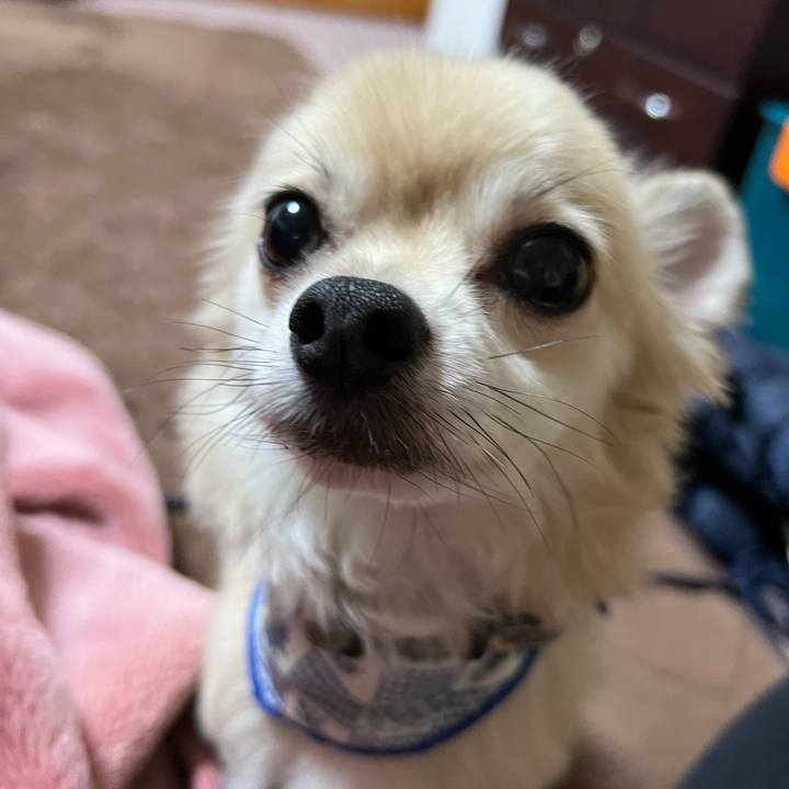 3a9d8668 5e8b 4337 9629 1e50f6fbedfe 1697363162754