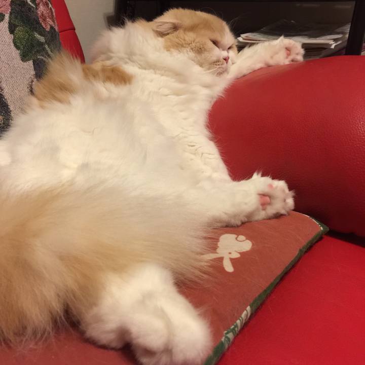 3a9d8b9b 9ae8 43af 8897 c5e17a050805 1557923642517