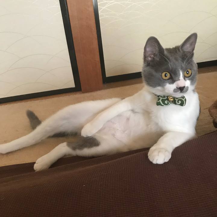 3a9d8d84 d40e 4c06 ae46 8379b0436c15 1674115857579