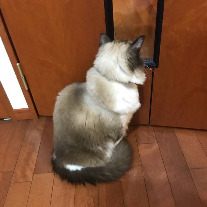 3a9d9dcd e9f2 4ac6 9710 31fb4e9337bb 1512294073649