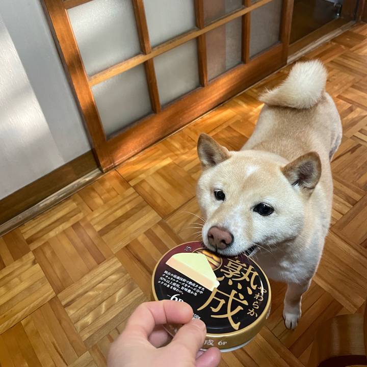 3a9dd7c2 cb67 49e8 bd4e e7fa9113eeae 1675552145454