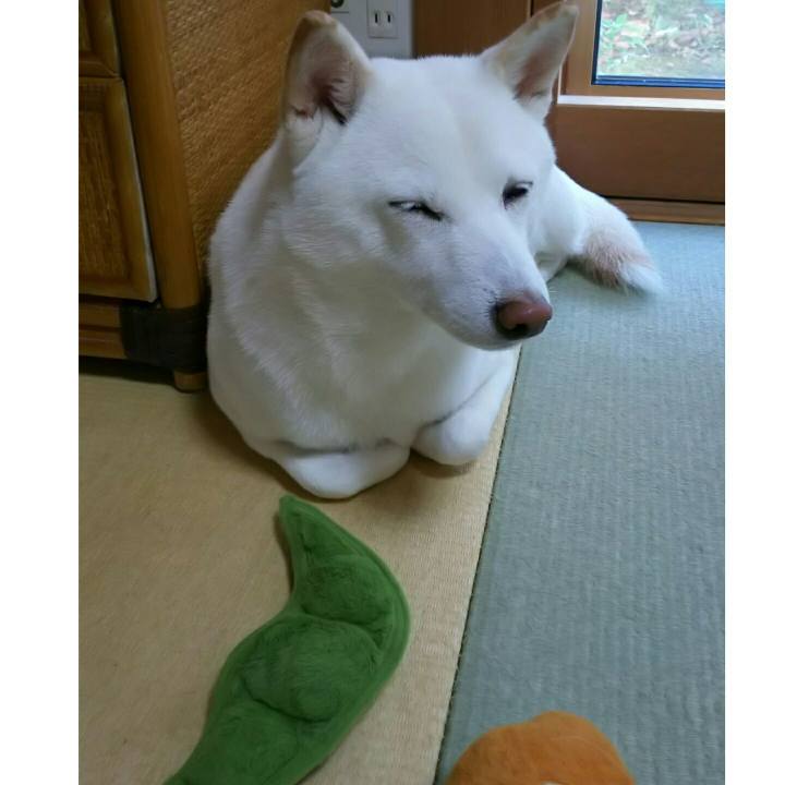 3a9dd9a0 c277 40ad 85d8 d73c0fa0dd33 1543031002225