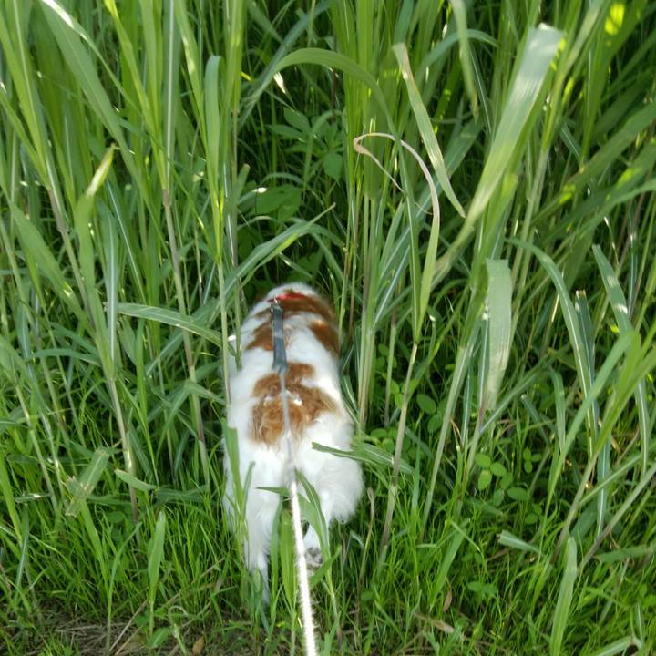 3a9e1eeb 7673 4692 9f85 eb419801c514 1558436592513