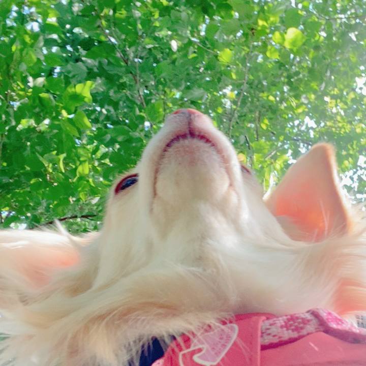 3a9e2a9c b1db 40f6 a091 be5967467fe5 1620636850396