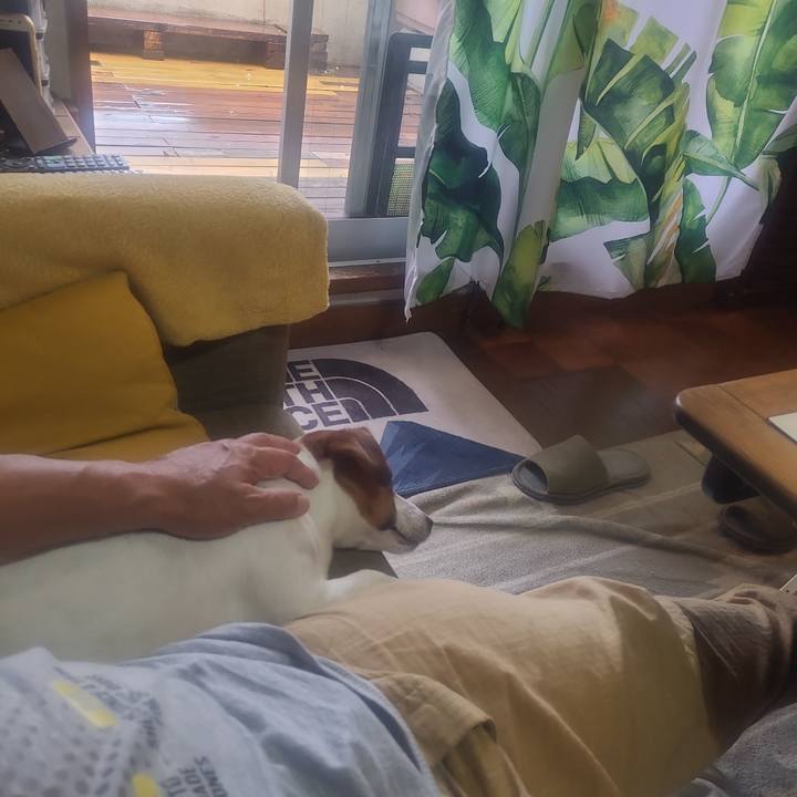 3a9e348c d361 4269 a8e8 609c4fa1b36b 1685347014493