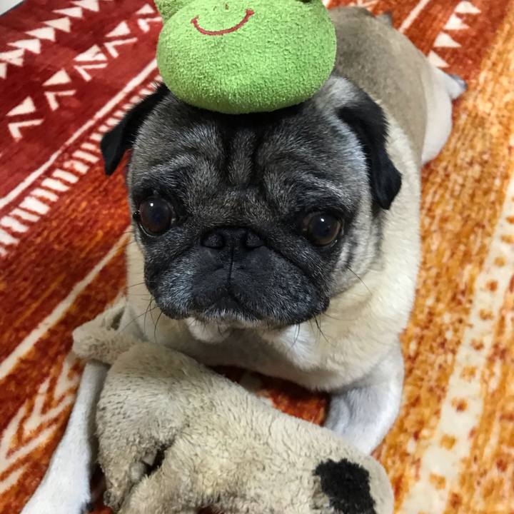 3a9e989b 3b29 4fa2 8cc4 0acabd64dcfb 1602629293040