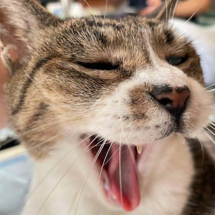 3a9e9ca8 c16e 4c0e abcf 8a156ed9b757 1662167707840