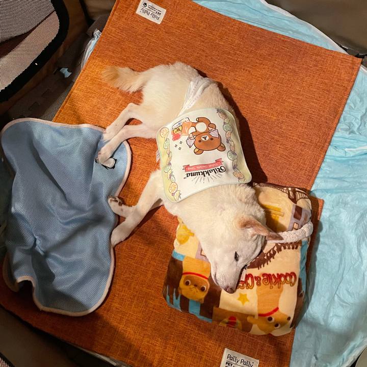 3a9ec55d af63 41a2 9f8a 83ef92ed85ca 1663064921797