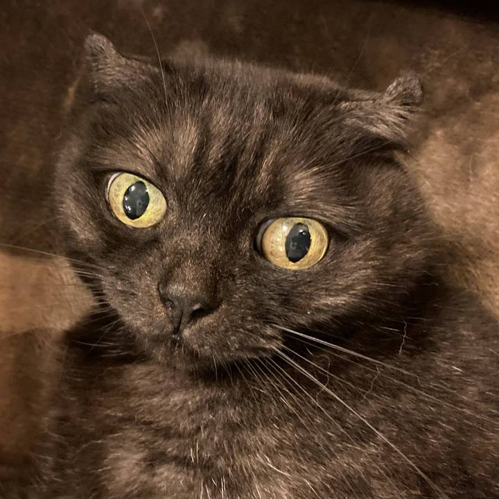 3a9edf3b 66dc 41ee 9dd4 9c1224c53d05 1595690736565