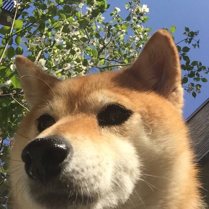 3a9eeadd d57f 4a07 8858 1b02ff3a83dd 1524699038631