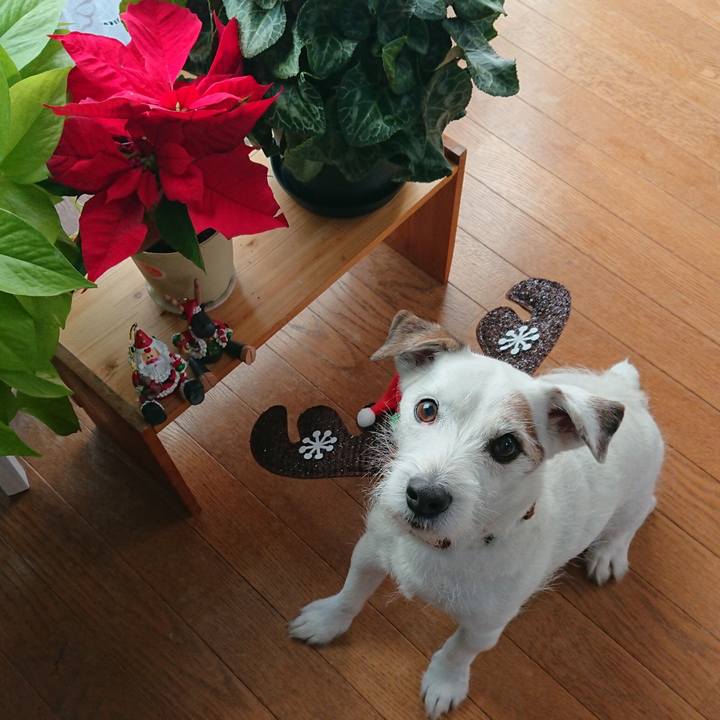 3a9eefee 94c3 4c9c bd23 f57c1295c403 1545693621054