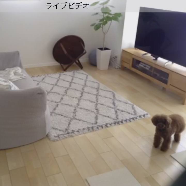 3a9f003a 8827 489d ab8a 245552ca0ff3 1519519808259