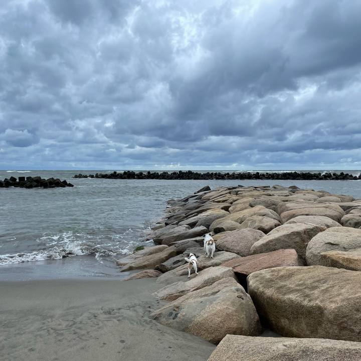 3a9f1fd7 e6ff 4d52 9a1f d473fc8fec70 1633478417500