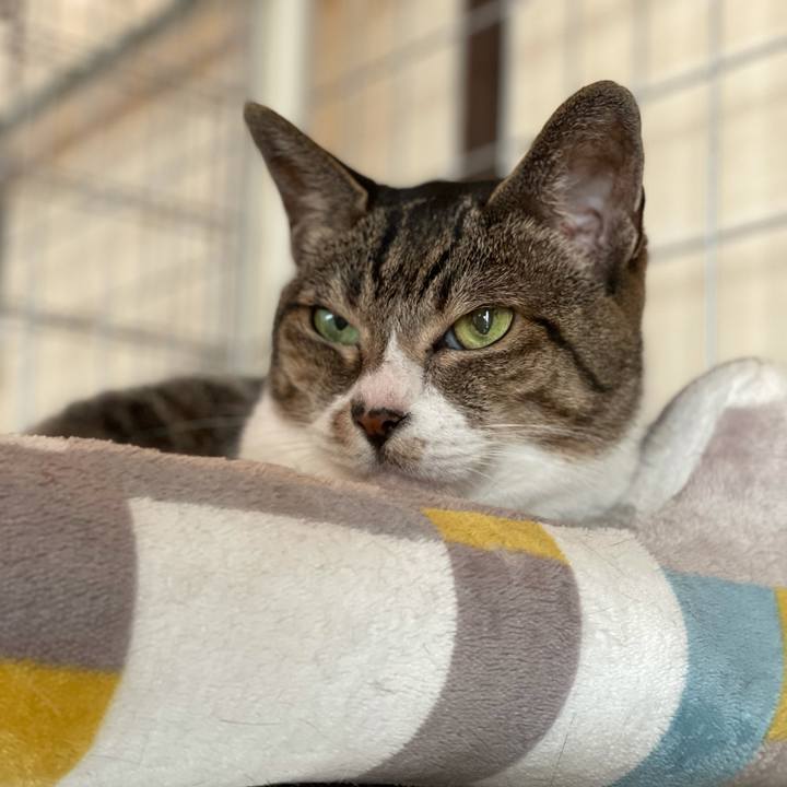 3a9f4970 14a5 4540 8a8e a79fd9f24480 1627177991112