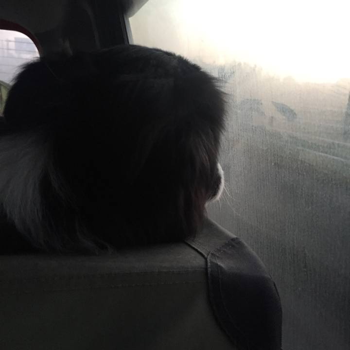 3a9f5c6e 02cd 4764 b622 5dfe9544c160 1547849608719