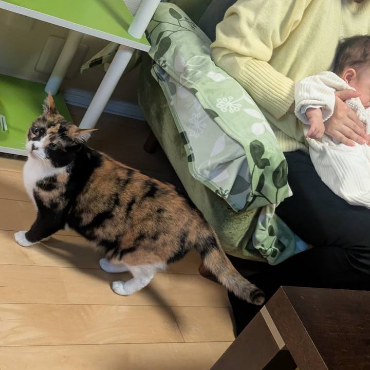 3a9f79a7 ea8a 49b7 a4cb 9b17967af63c 1764309459034