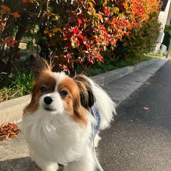 3a9f9878 a026 4606 a431 c6d07fadaf8a 1761209734810