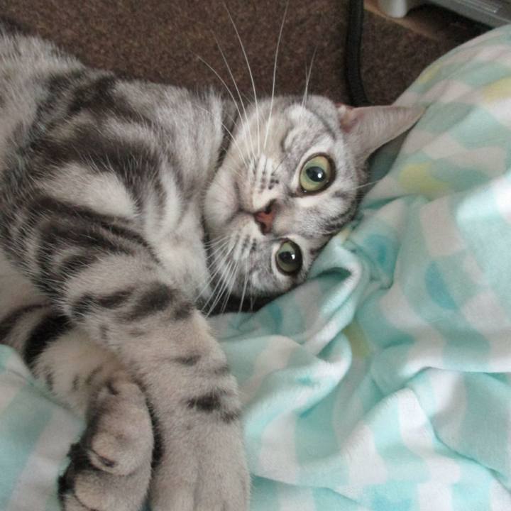 3a9fb2ab 50be 48a4 8f78 7357225b6c12 1560047676851