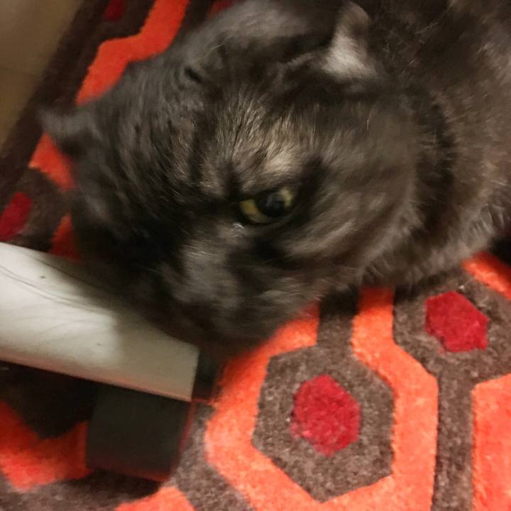 3a9fb7ca e585 44e5 8521 552c633e9780 1581860105012