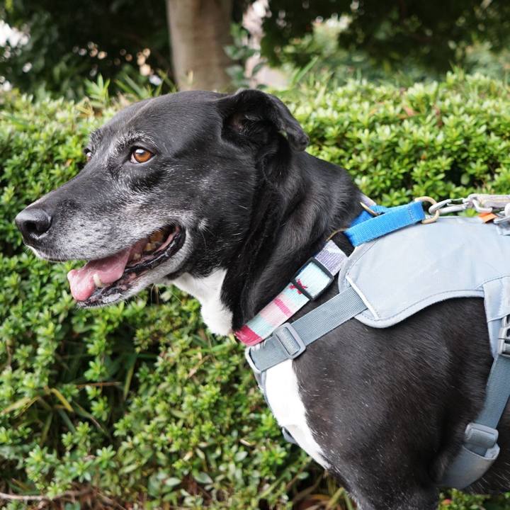 3a9fd754 add7 486c bc23 d63b031808d0 1761181328656