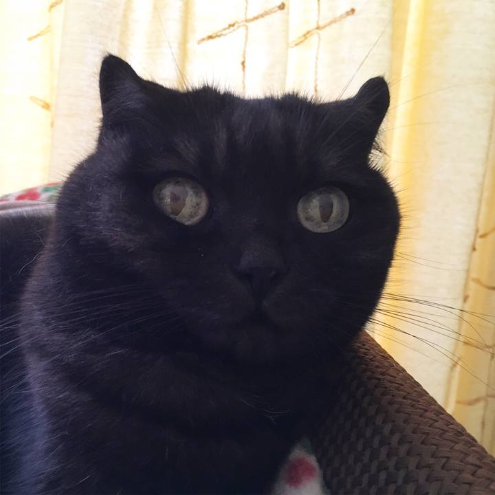 3a9fe089 4bad 4d45 b8a5 2293337009db 1539837704649