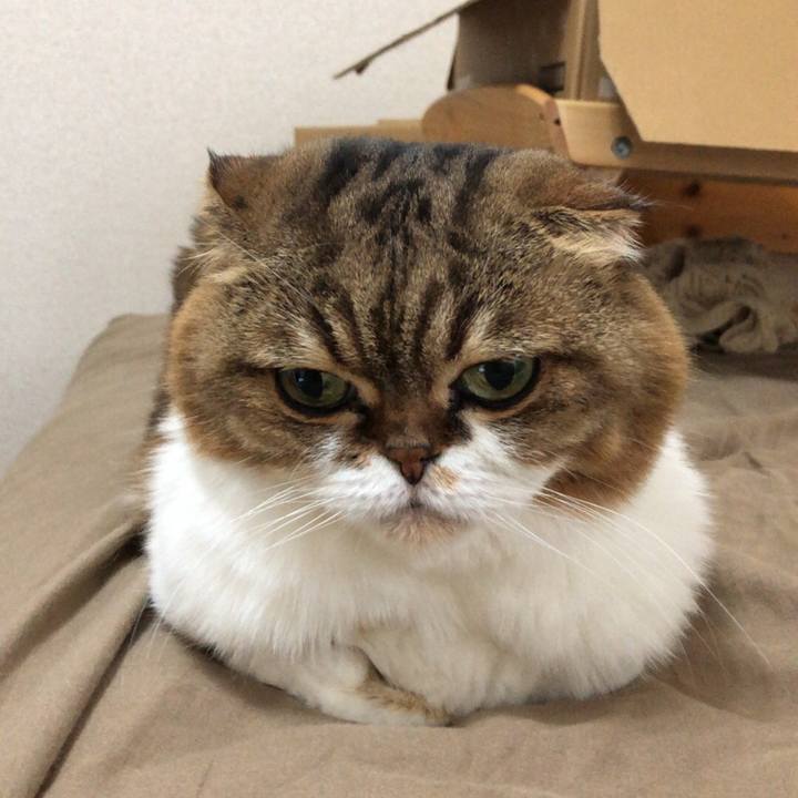 3aa00ff1 7b1a 43c8 bd0d 8321823abb6c 1536649780785