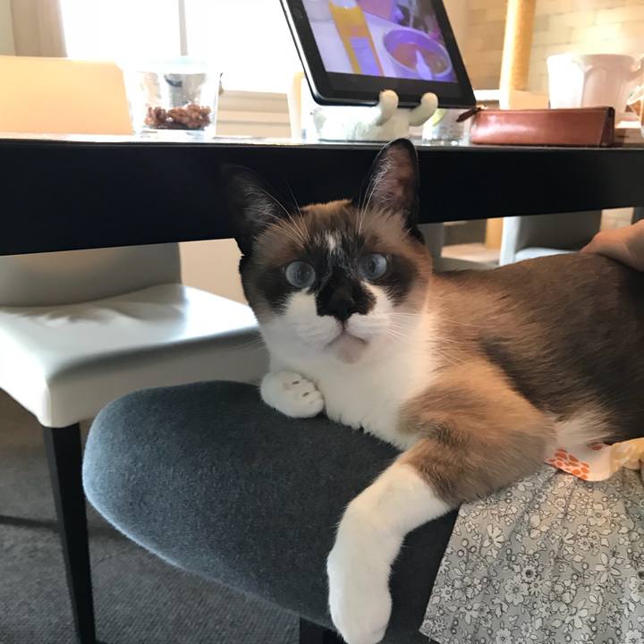 3aa0562e 5233 45cd 80e3 9b130c5dc4f8 1531792657715