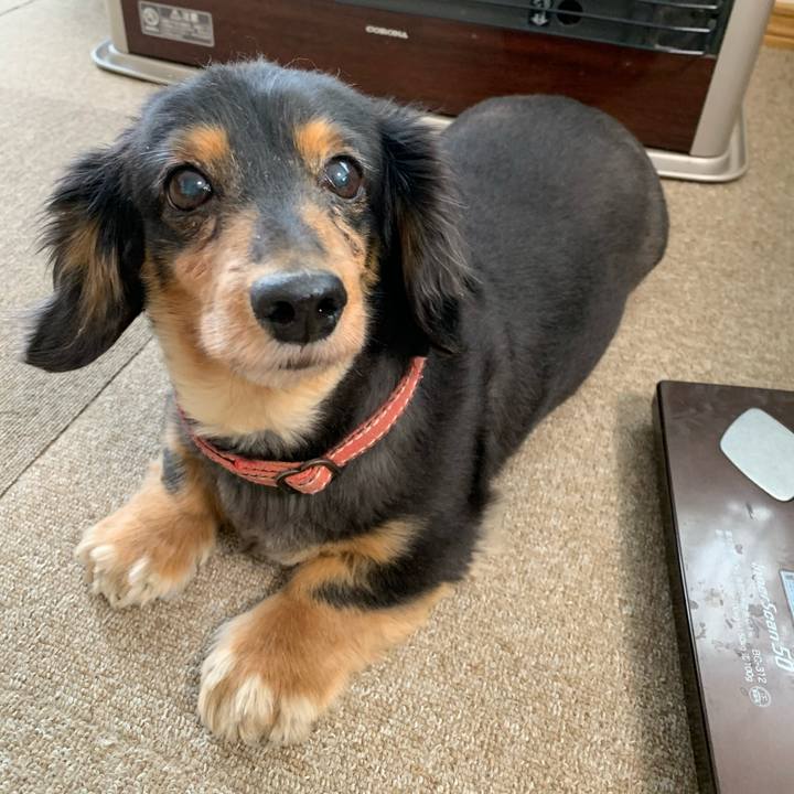 3aa0679f 7f32 4641 baa7 4392dc869be9 1586045074794