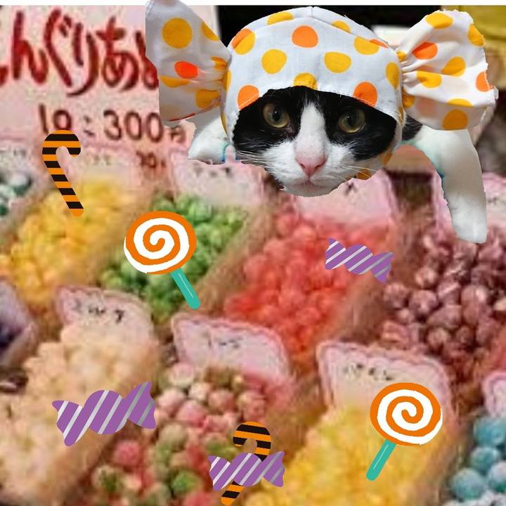 3aa0e6d1 ab82 434d 82f6 feeee11089fe 1541250870112