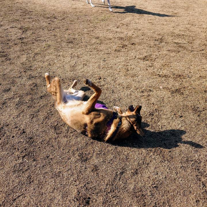 3aa11ec5 83d5 44ac 8c2a 3214724dca06 1741503680981