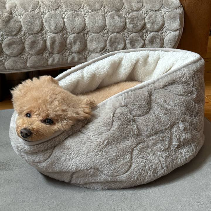 3aa16dbe 7980 4495 9a62 b16ead7ef74f 1766793519247