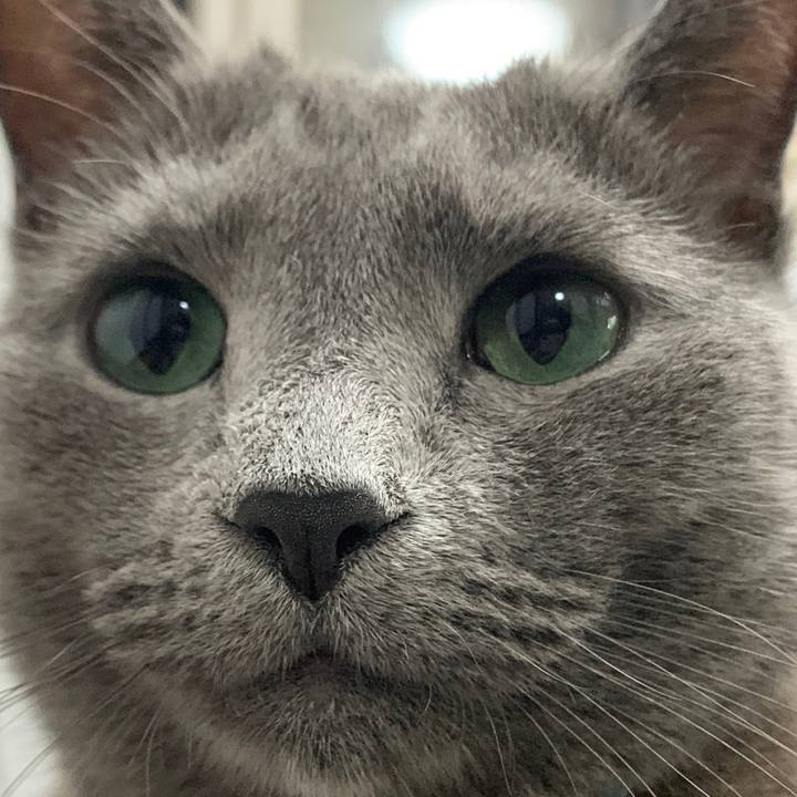 3aa19cee 0b8b 4956 bd28 c23fe2810190 1653037435383