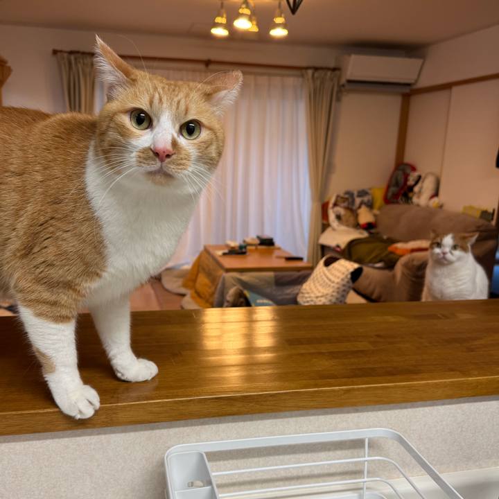 3aa1a831 b318 4da6 a821 b625e1e68477 1769389043877