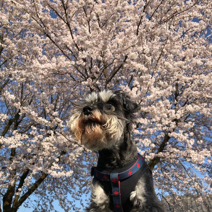 3aa1b624 6187 4ad9 af18 d025e070f113 1617530488091