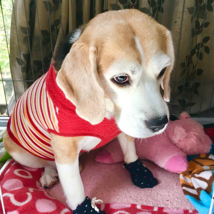 3aa1ca77 4946 41f3 b12c 60c98a2097f9 1763696276643